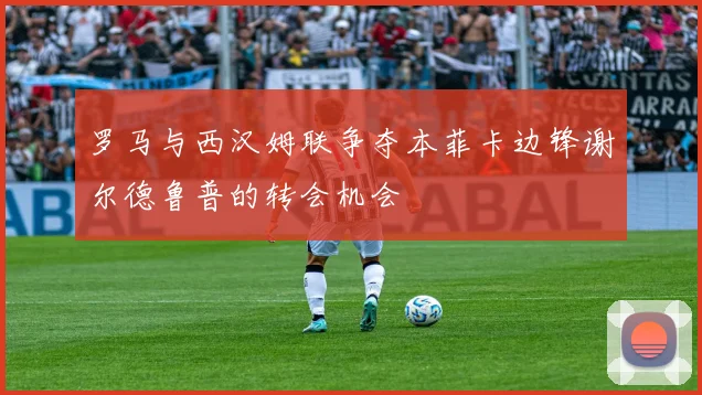 罗马与西汉姆联争夺本菲卡边锋谢尔德鲁普的转会机会