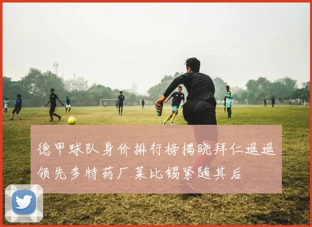 德甲球队身价排行榜揭晓拜仁遥遥领先多特药厂莱比锡紧随其后