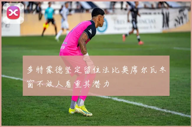 多特蒙德坚定留住法比奥席尔瓦冬窗不放人看重其潜力